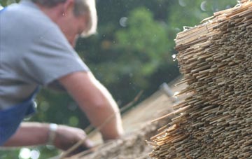 professional Bradeley thatchers