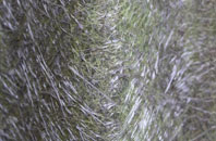 Bradeley fibreglass roof work